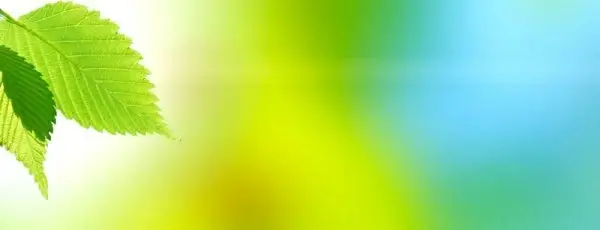 beautiful green leafy background 04 hd picture