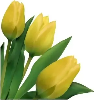 tulip background realistic design green yellow decor