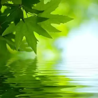 beautiful waterscape reflection series 01 hd pictures
