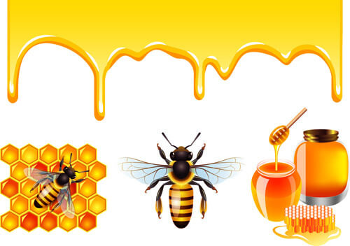 bee honey dripping effect background vector