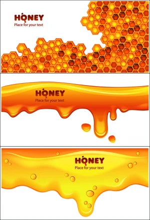 bee honey dripping effect background vector