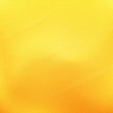 bee nest honey background