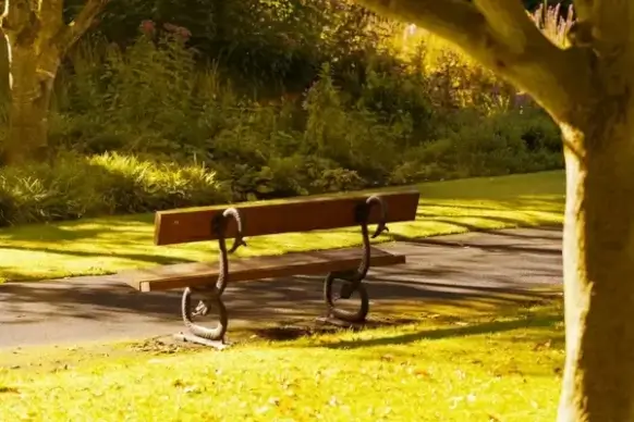 bench in the morning