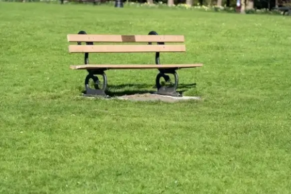 bench in the park