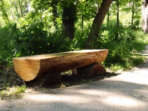 bench rest trail