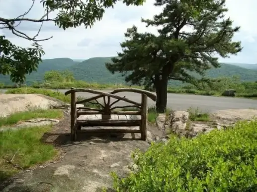 bench with a view