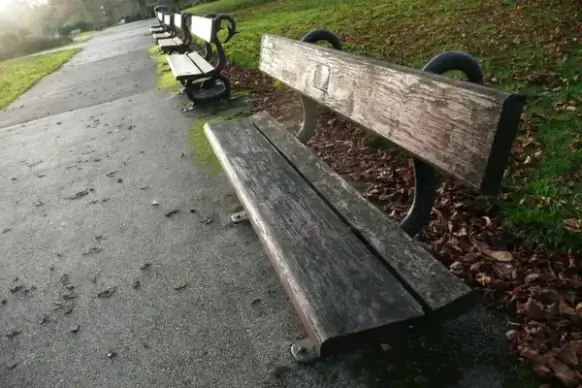benches in the park
