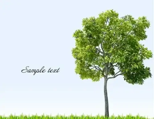 big trees 04 vector