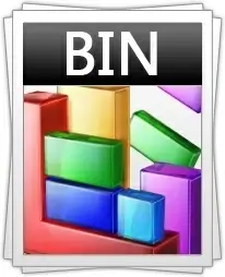 BIN