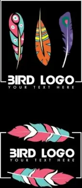 bird feathers logo sets colorful flat icons decor