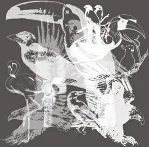 Birds Brushes