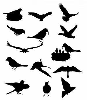Birds silhouette design elements sketch
