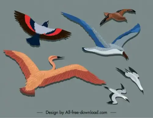 birds painting colorful flat sketch motion design