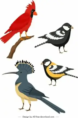 birds species icons colorful cartoon sketch