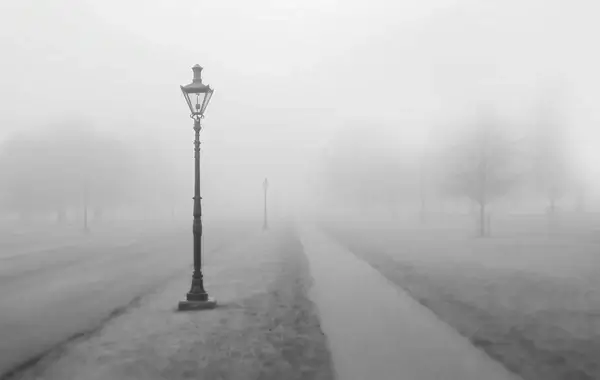 black and white cold fog frost haze landscape mist