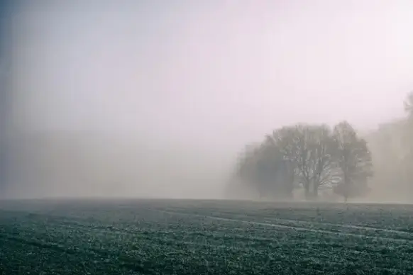 black and white fog haze lake landscape light lonely