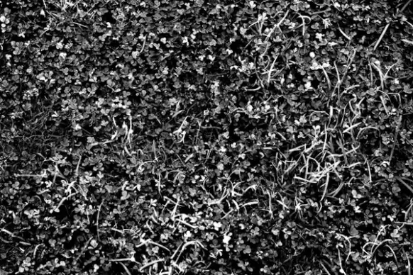 black and white infrared background