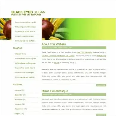 black eyed susan