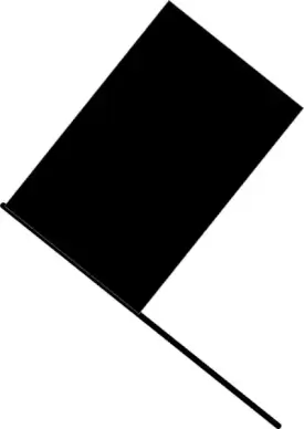 Black flag