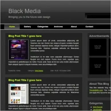  black media