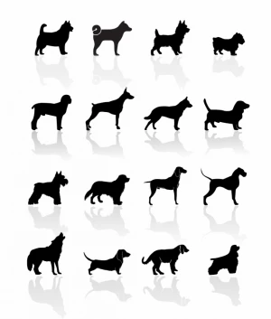 Black Symbols - Dogs