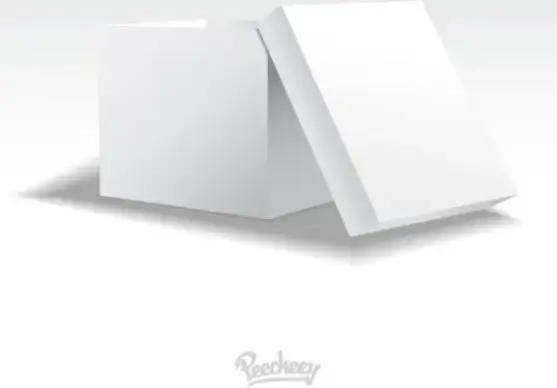 blank white opened cardboard box template