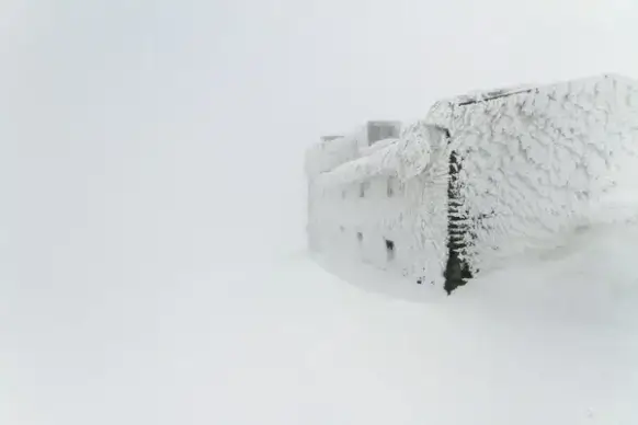 blizzard cold cutout flakes forest frost frozen