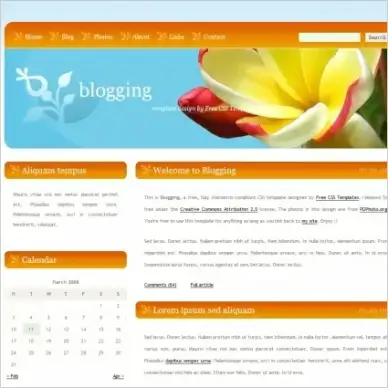 blogging