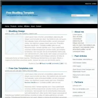 Blue Blog Template