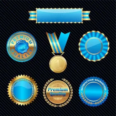blue glossy badge medal