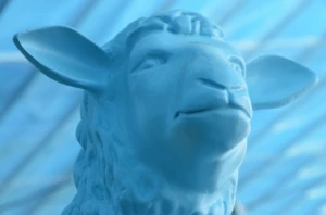 blue sheep sheep blue