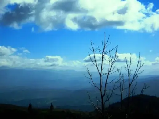 blue sky