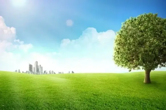 blue sky green 05 hd picture