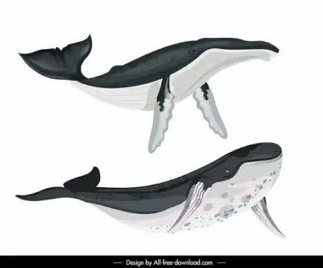 blue whale icons swimming gesture sketch