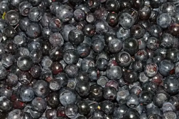 blueberries
