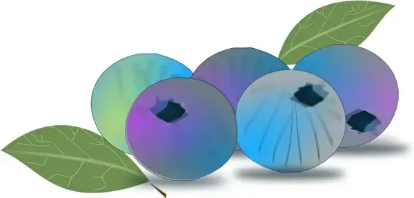 blueberry