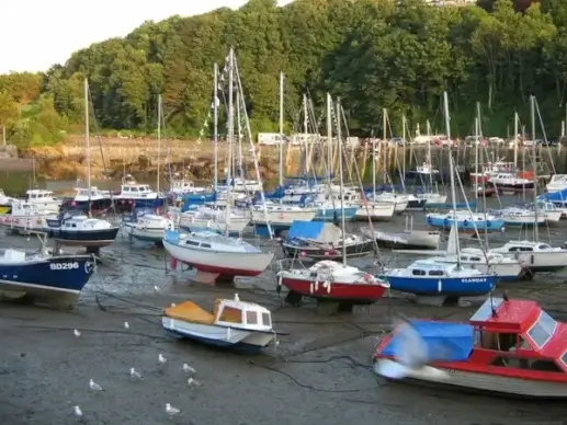 boats in harbor
