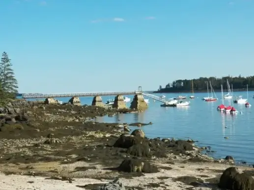 boats in harbor