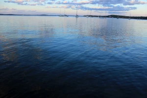 boats in the distance in madison wisconsin