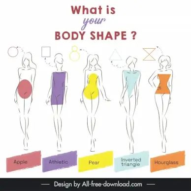 body shape infographic template flat handdrawn ladies outline