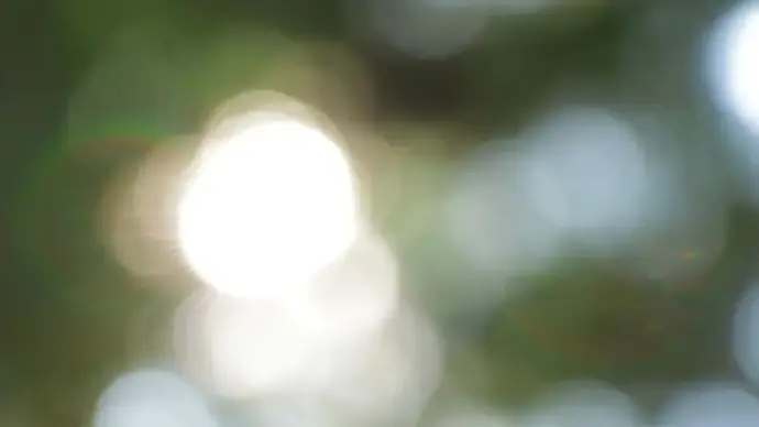 bokeh clip of sunlight in nature