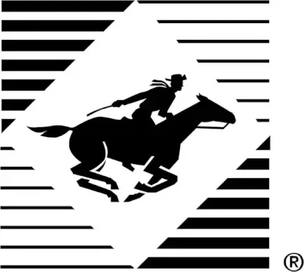 borg warner security corporation