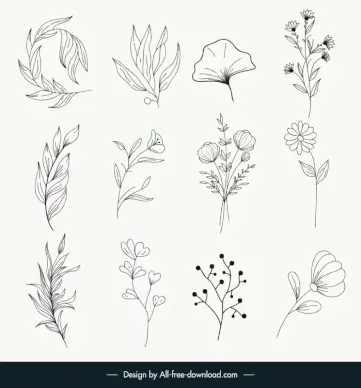botanical minimal plants and flowers icons sets classical black white handdrawn