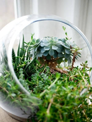 bowl close up flower glass grass jar leaf nature