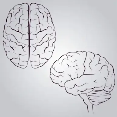 brain icons design monochrome sketch