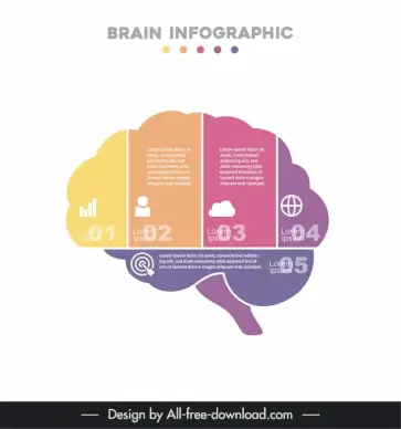 brain infographic design elements flat modern elegant layout