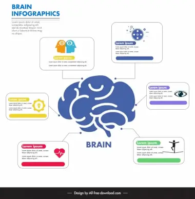 brain infographic template flat ui symbols 