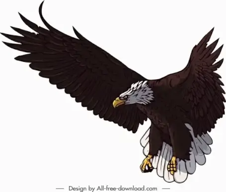 brave eagle icon colored cartoon sketch