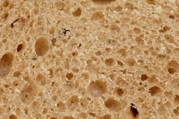 bread texture