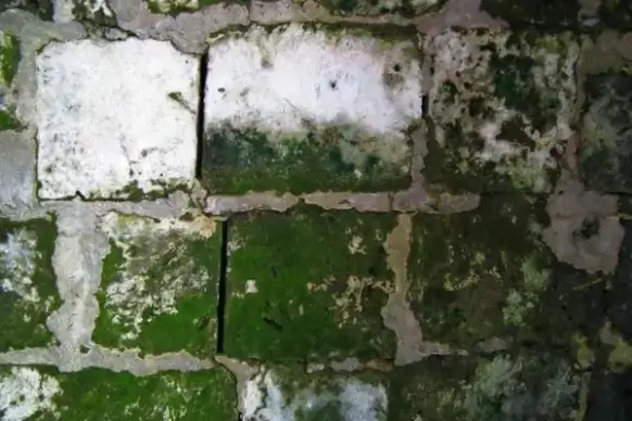 brick wall